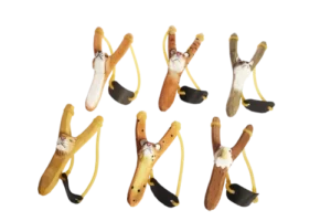 DG01