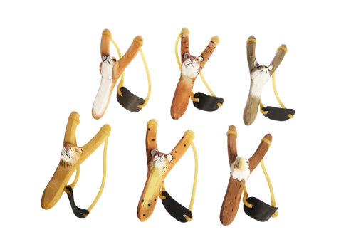 DG01