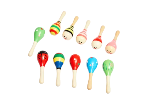 E65 MARACA PEQUEÑA